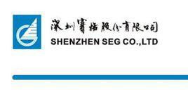 深賽格最新動(dòng)態(tài)解析與未來(lái)投資展望
