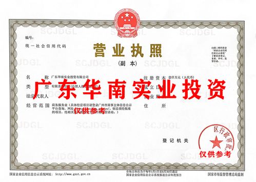 廣東實(shí)業(yè)投資審批與字號(hào)轉(zhuǎn)讓在投資管理中的關(guān)鍵作用