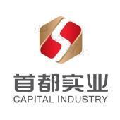 實業(yè)投資 首都實業(yè)投資的戰(zhàn)略選擇與未來展望