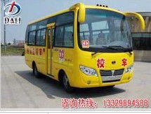 大力校車廠價(jià)直銷及運(yùn)營(yíng)服務(wù)全解析